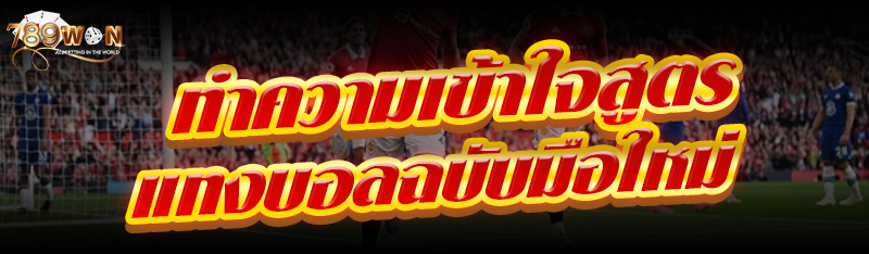 ทำความเข้าใจสูตรเเทงบอลฉบับมือใหม่