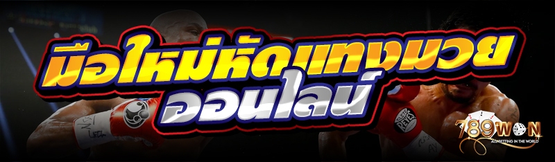 มือใหม่หัดแทงมวยออนไลน์ 