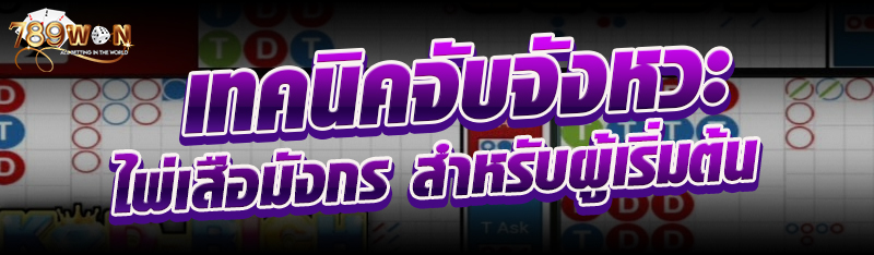 เทคนิคจับจังหวะไพ่เสือมังกร สำหรับผู้เริ่มต้น