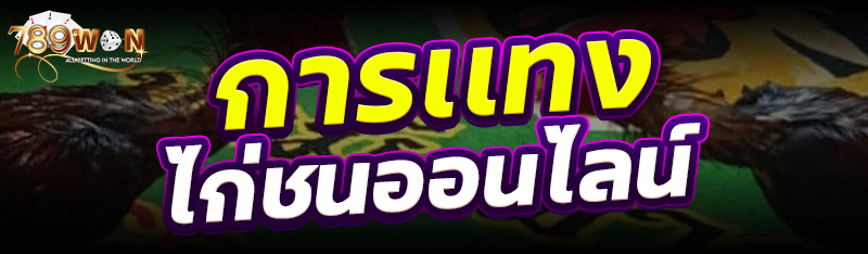 การเเทงไก่ชนออนไลน์